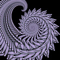 Purple Fossil Fractal
